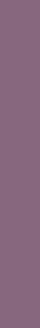 a purple color vertical strip for website